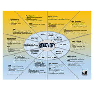Recovery Wheel Poster <br>(out of stock)